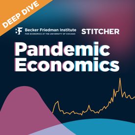 Pandemic Economics
