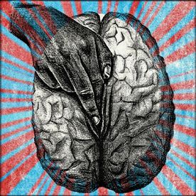 Sex on the Brain with Amory Jane